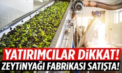 İzmir’de zeytinyağı fabrikası satışa çıkarıldı!