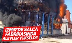 İzmir’de salça fabrikasında yangın!