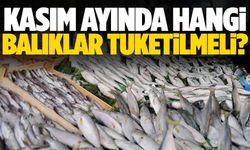 Kasım ayında hangi balıklar tüketilmeli?
