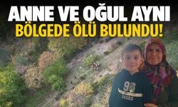 9 günlük arama sonuç verdi: Anne ve oğul aynı bölgede ölü bulundu