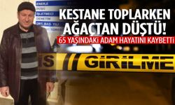 Kestane toplamak isterken canından oldu!