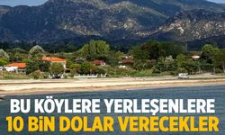 Komşu harekete geçti! Bu köylere yerleşenlere 10 bin dolar...