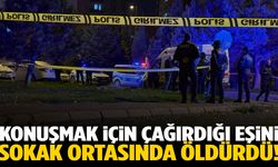 Konuşmaya çağırdığı eşini boğazından bıçaklayarak öldürdü!