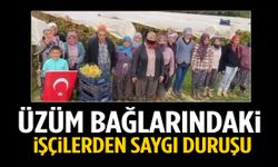 Manisa bağlarında siren sesleri yükseldi