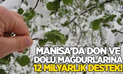 Manisa’da don yaraları sarılıyor! Çiftçiye 12 milyarlık destek!