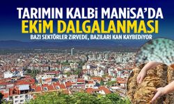 Manisa tarımında Ekim dalgalanması!