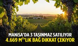 Manisa’da 3 taşınmaz satılıyor! 4.669 m²’lik bağ dikkat çekti