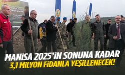 Manisa’da dev ağaçlandırma hamlesi!