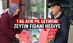 Manisa’da dikkat çeken kampanya: 1 kilo atık pil getirene zeytin fidanı hediye