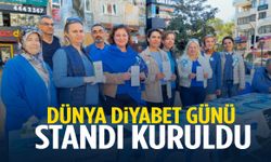 Manisa’da ‘Dünya Diyabet Günü’ standı kuruldu