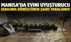 Manisa’da evini uyuşturucu serasına çeviren şahıs yakalandı!