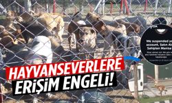 Hayvanseverlere erişim engeli