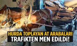 Manisa’da operasyon! İki at arabası trafikten men edildi...