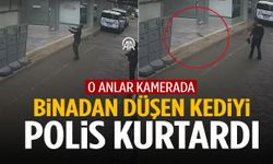 Manisa’da polis düşen kediyi havada yakalayarak kurtardı!