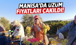Manisa'da üzüm fiyatları düşüyor!
