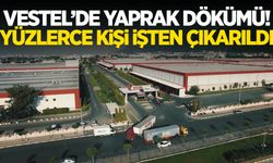 Vestel’de yaprak dökümü! Yüzlerce kişi işten çıkarıldı…