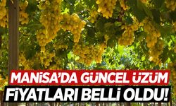 Manisa’da güncel üzüm fiyatları belli oldu!