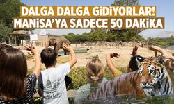 Manisa'ya sadece 50 dakika... Akın ediyorlar!