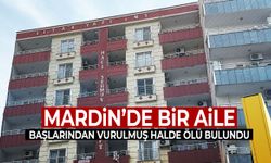Mardin’de anne, baba ve 5 yaşındaki kızları katledildi!