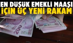 Emeklilere müjde mi? Emekli maaşında 3 olası rakam