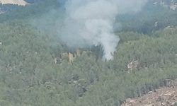 Kavaklıdere’de orman yangını kontrol altına alındı