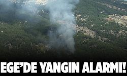 Muğla’da orman yangını alarmı!