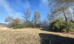 Yatağan’da arazi yangınları büyümeden söndürüldü