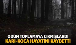Odun toplamaya çıkmışlardı... Karı-koca hayatını kaybetti