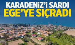 Türkiye’de alarm! Karadeniz’i sardı Ege'ye sıçradı!