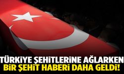 Türkiye’ye ait yangın uçağı düştü… Pilot şehit oldu!