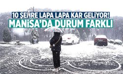 Türkiye'ye kar alarmı! Manisa'da durum farklı...