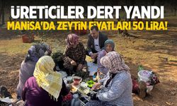Üreticiler dert yandı... Manisa'da zeytin fiyatları 50 lira!