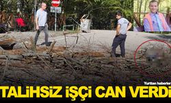 Üzerine ağaç düşen belediye işçisi hayatını kaybetti