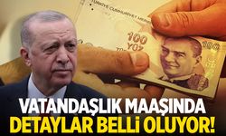 Vatandaşlık maaşında detaylar belli oluyor!