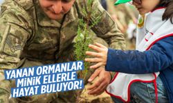 Yanan ormanlar minik ellerle hayat buluyor!