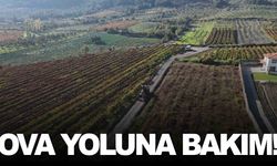 Yunusemre Belediyesi üreticinin ulaşım sorununu çözdü