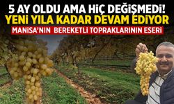 5 ay oldu hala aynı... Yeni yılı bulacak!