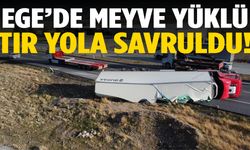 Meyve tırı devrildi! 20 ton meyve ziyan oldu!