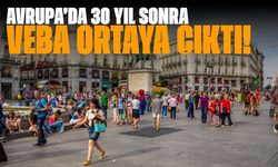 Avrupa’da 30 yıl sonra veba ortaya çıktı! Ordu göreve çağrıldı…