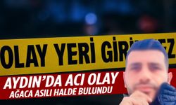 Aydın’da genç adam ağaca asılı halde bulundu