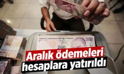 Bakan duyurdu: Aralık ödemeleri hesaplara yatırıldı