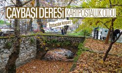 Çaybaşı Deresi, Instagram'a düşmeyi bekliyor