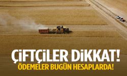 Çiftçiler dikkat! 2 milyar liralık destek bugün hesaplarda