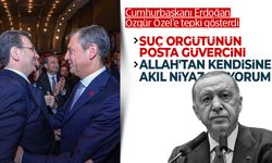 Cumhurbaşkanı Erdoğan, Özgür Özel'e 'posta güvercini' dedi