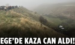 Şarampole yuvarlanan otomobilin sürücüsü hayatını kaybetti