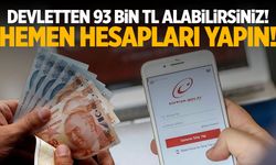 Hesapları yapın! Devletten 93 bin TL alabilirsiniz
