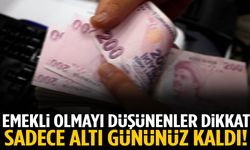 Emekli olmayı düşününler dikkat! Sadece 6 gününüz var…
