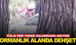 İzmir’de ormanlık alanda dehşet: Kadının çığlıkları kameraya yansıdı
