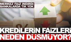 Kredi faizleri neden düşmüyor? Birinci ağızdan açıklama geldi!