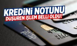 Kredi Notunu En Çok Düşüren İşlem Belli Oldu